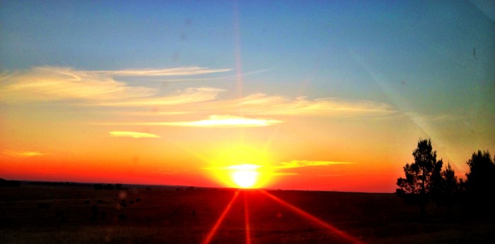 Gracing you with a little bit of pretty. Africa really does give us the most amazing sunsets:)